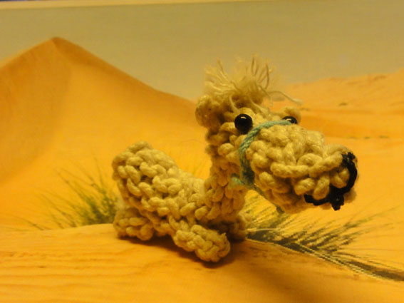 knotted animal camel